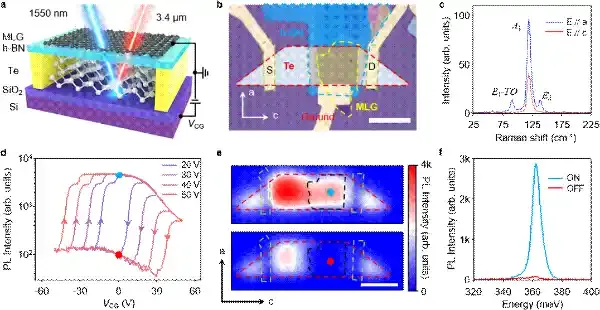让存储自己“发光”：新型碲基超快浮栅存储器实现中红外光学存内计算