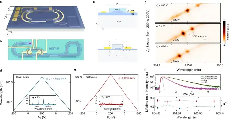 npj Quantum Information：可扩展的片上全固态腔量子电动力学系统