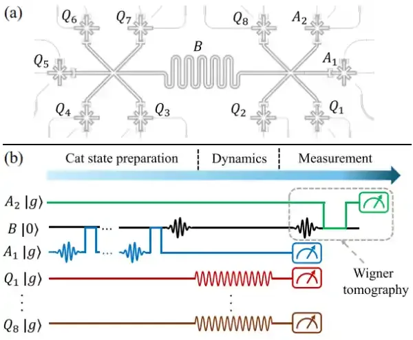 福州大学量子信息与量子光学实验室在量子物理研究方面取得重要进展