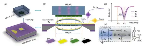 北京量子信息科学研究院在声子-力学模式参量接口构建领域取得研究进展