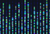 俄罗斯研究团队利用量子退火算法缩短基因组组装时间