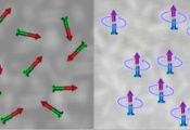 科学家成功演示了对量子磁体的自旋相互作用进行可编程控制