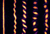 MIT物理学家观察到超冷原子形成量子龙卷风晶体
