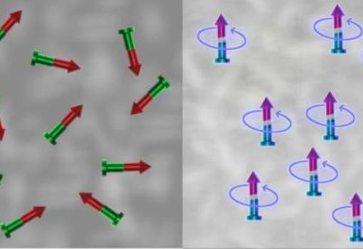 科学家成功演示了对量子磁体的自旋相互作用进行可编程控制
