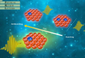 南科大在新型原子-光非厄米界面研究方面取得突破性进展