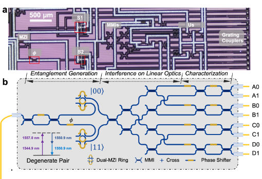 南京大学在光量子芯片上实现多光子纠缠态的制备及相干调控