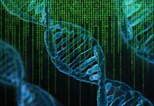 德州农工大学科学家演示利用量子计算来预测基因之间的关系