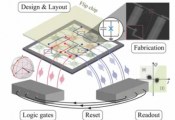 科学家基于Fluxium量子比特开发出一种高性能量子处理器架构