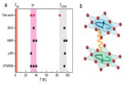北京大学物理学院陈剑豪研究员课题组在笼目结构金属中发现三维隐藏序相变