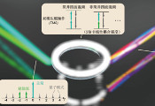 北京大学与合作者实现基于簇态量子微梳的大规模片上量子纠缠