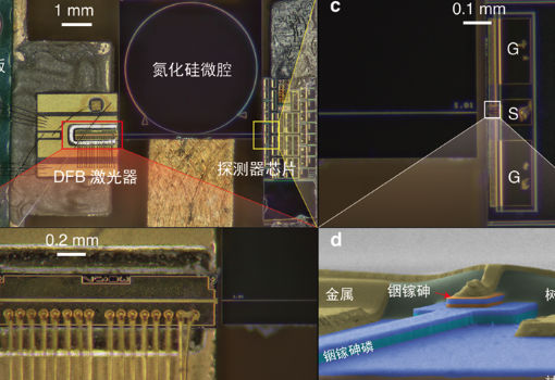 深圳国际量子研究院刘骏秋课题组与合作者成功研制全芯片集成的光生微波振荡器