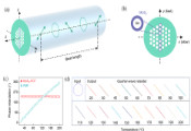 华南师范大学与合作者在《Advanced Materials》发表二维材料光纤相关重要研究成果
