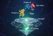 中国科大利用量子弛豫实现单分子水平生物分子相互作用检测