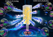 西安交大科研人员在多路复用轨道角动量高效量子存储方面取得重要进展