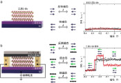 复旦大学吴施伟团队在电荷转移主导的二维磁结构对称性破缺与调控中取得新进展