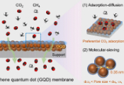 大连化学物理研究所开发可定制的石墨烯量子点膜实现高效气体分离