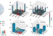 硅基量子计算重大突破！国量院团队首次实现硅基逻辑量子计算机原型验证