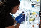 奥地利ISTA物理学家剖析了一种奇特量子材料的令人费解特性