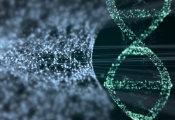 构建一个跟随质子移动的超导量子电路