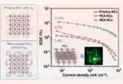南通大学张雷副教授课题组在钙钛矿纳米晶电致发光器件研究方面取得新进展