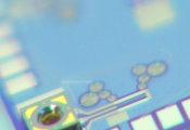 QScale量子项目获芬兰政府资助，将探索光学控制实现超精确信号处理