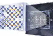 深圳国际量子研究院超导量子团队首次实验观测到精确量子临界态