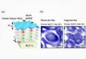通过半导体器件界面工程实现双向操纵无栅极量子电子态