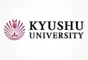 探索自然界基本方程中可自由调整参数的起源