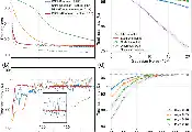 托卡马克装置上利用经典‑量子混合框架开展诊断数据研究取得进展