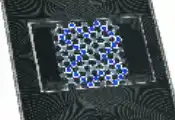 测量与反馈，在量子处理器上驱动非平衡相变