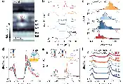 华中科技大学物理学院付英双团队发现激子绝缘体中的局域激子拆对效应