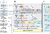 科研人员研发大规模量子微扰计算软件