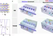 天津工业大学姜勇教授团队近期在新型二维材料及自旋电子学器件研究方面取得新进展