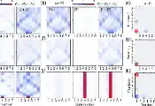 北京量子信息科学研究院与合作者在可调超导玻色-哈伯德模拟器中的量子关联动力学研究方面取得新进展