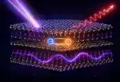 纽约市立大学物理学家团队正探索量子材料新前沿