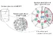 从量子纠错到涌现引力：在QLab中探索全息宇宙