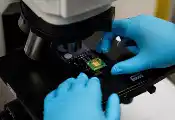 拓扑量子材料为研究异常电子行为开辟了新途径