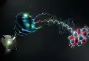 哥廷根大学科学家成功实现纳米分子三维波函数成像