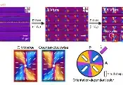 KAIST开发光旋转方向调控新技术，仅改变分子排列即可产生圆偏振光