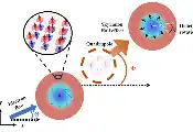 电子科技大学物理学院严鹏教授团队在PRL发表交磁斯格明子非线性动力学研究成果