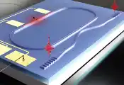 npj Quantum Information：可扩展的片上全固态腔量子电动力学系统