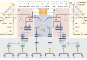 深圳国际量子研究院李正达课题组与合作者在量子Fisher信息高效实验估计方面取得重要进展