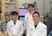 韩国科学家破解量子材料中困扰多年的神秘信号