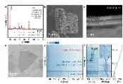 量子物态与器件研究中心：二维插层技术创制新型量子材料：原子制造镧系MXene磁性半导体