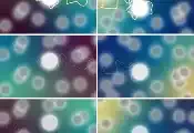 科学家发现单次翻转可延长量子纠缠寿命，关键在于操作时机