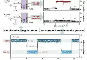 国家纳米科学中心在高性能分子自旋电子器件及其功能应用方面取得系列进展