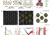 上海科技大学物质学院联合团队在胶体量子点超晶格构造和应用方面取得关键进展