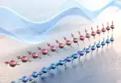 磁场打破激子“牢笼”，新研究实现激子–极化激元量子态高效调控