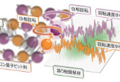 日本科学家观察到硅量子比特间存在很强的误差相关性