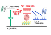 日本科学家首次成功观测到室温下的五重态量子相干性